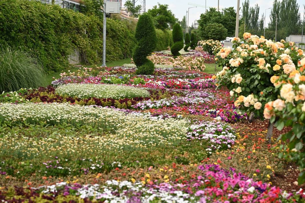 1,8 milyon çiçek, açtı: İşte göz kamaştıran Konya park ve caddeleri 5